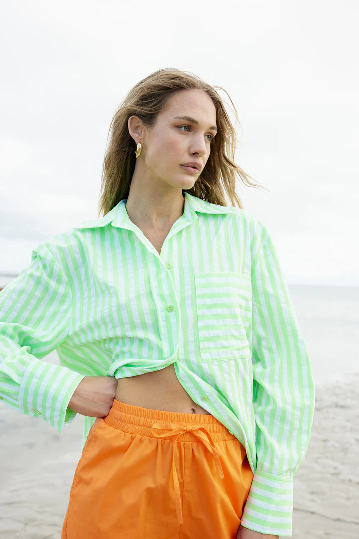 THE BUDDY SHIRT IN LIME STRIPE