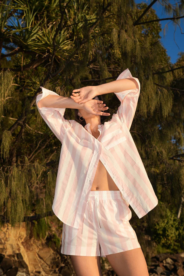 Buddy Shirt - Ballet Stripe