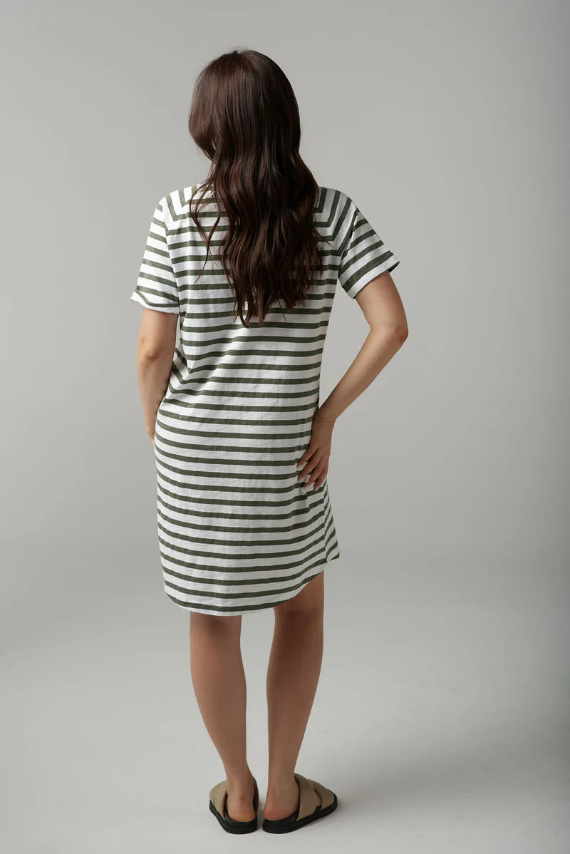 Stripe Raglan Dress - White/Fairway Green