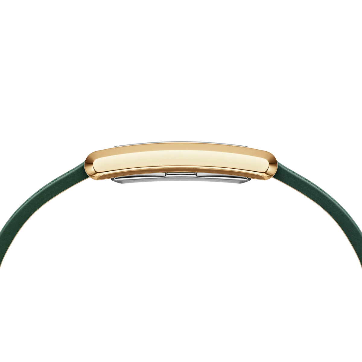 Bound Crocodile Champagne Sunray Gold